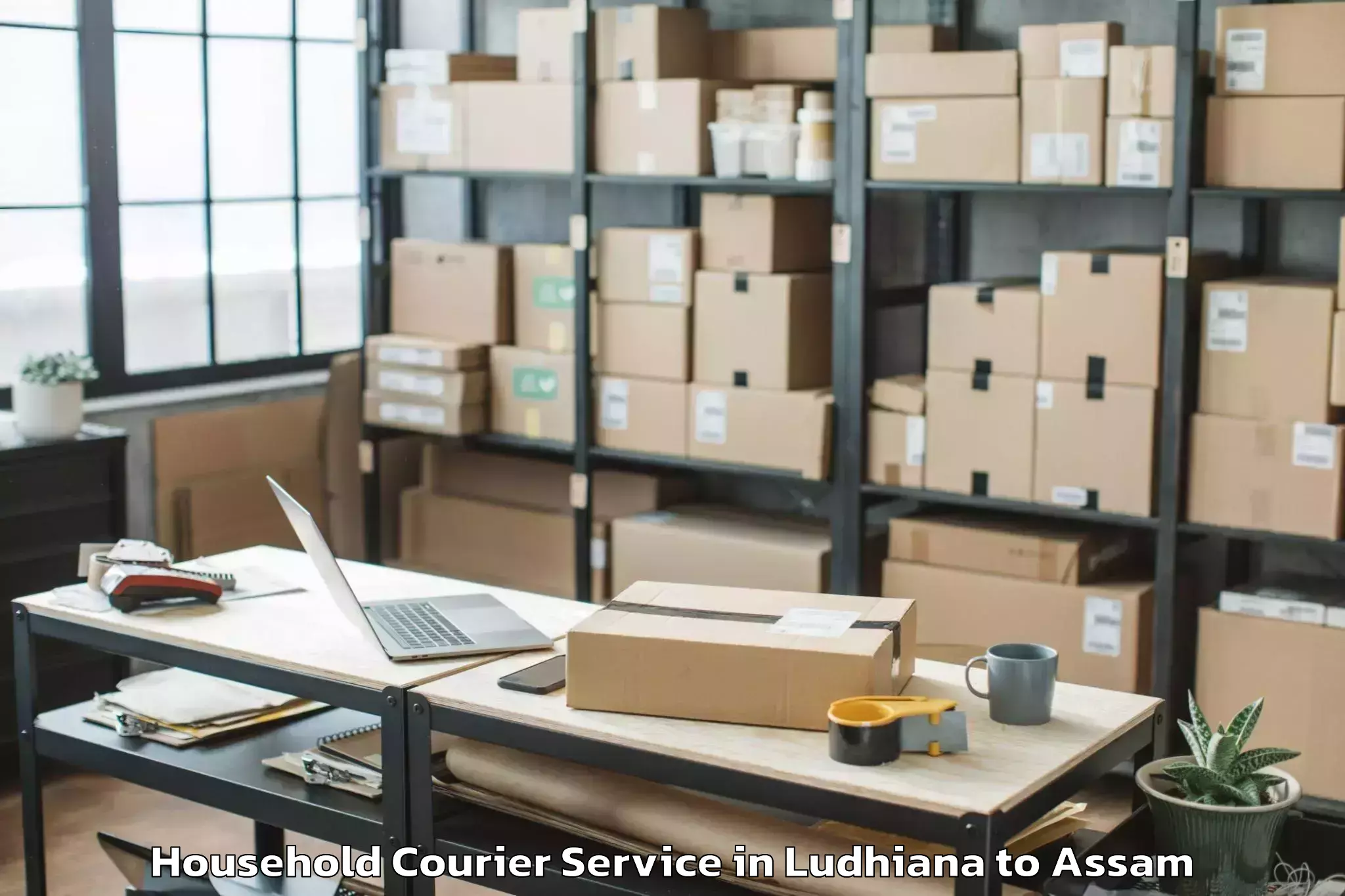 Hassle-Free Ludhiana to Titabar Household Courier